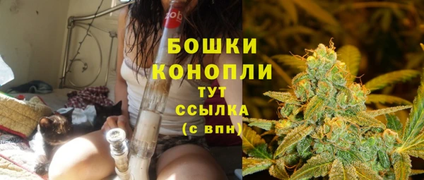 бошки Мегион