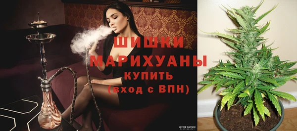 бошки Мегион
