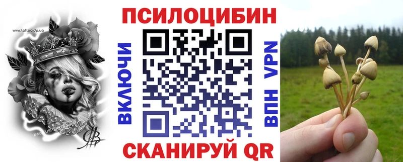 где продают наркотики  Саратов  Галлюциногенные грибы Psilocybe 