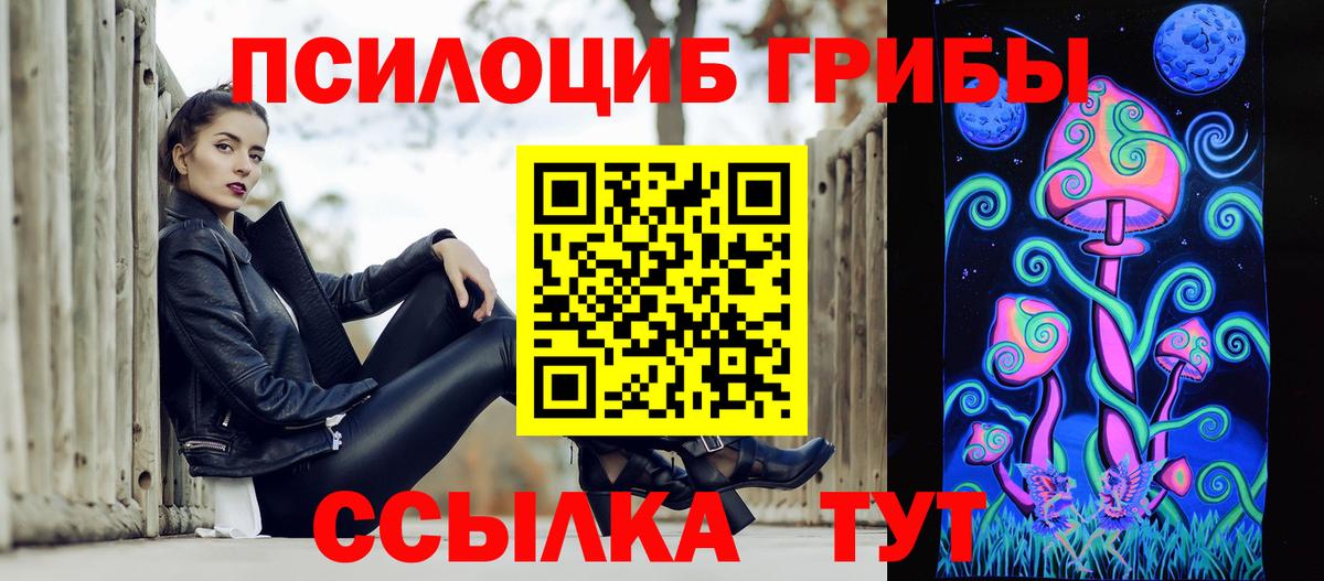 Псилоцибиновые грибы Psilocybine cubensis  Вход с VPN  Саратов  Псилоцибиновые грибы Psilocybe 