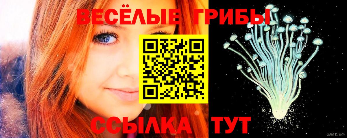Псилоцибиновые грибы MAGIC MUSHROOMS Саратов