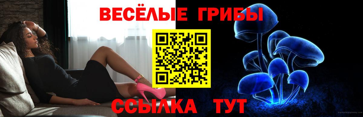 Галлюциногенные грибы ЛСД Саратов